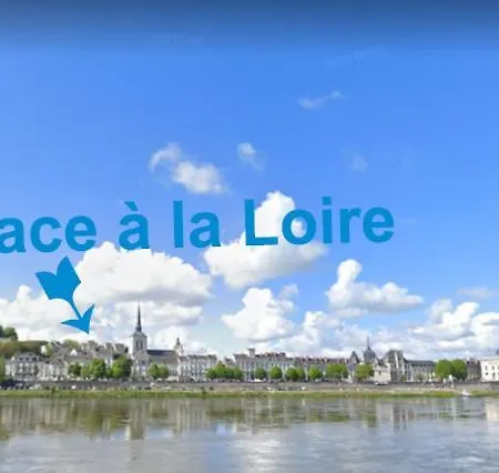 T2 Vue Sur Loire Local Velo * Saumur