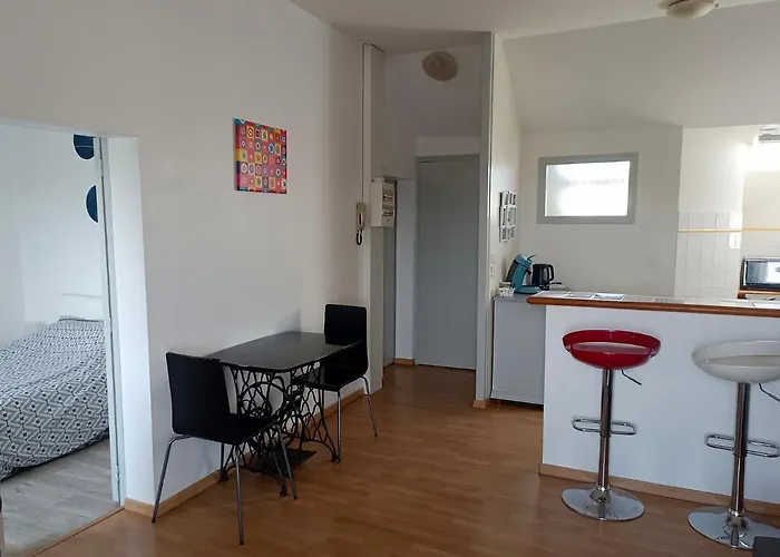 T2 Vue Sur Loire Local Velo * Saumur