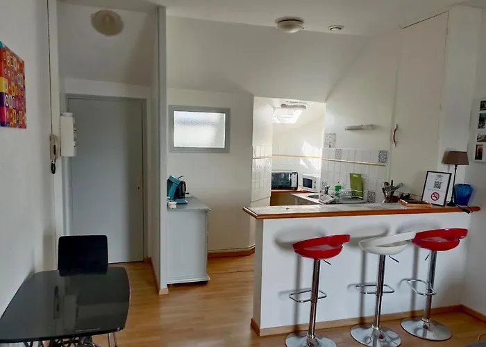 T2 Vue Sur Loire Local Vélo Saumur